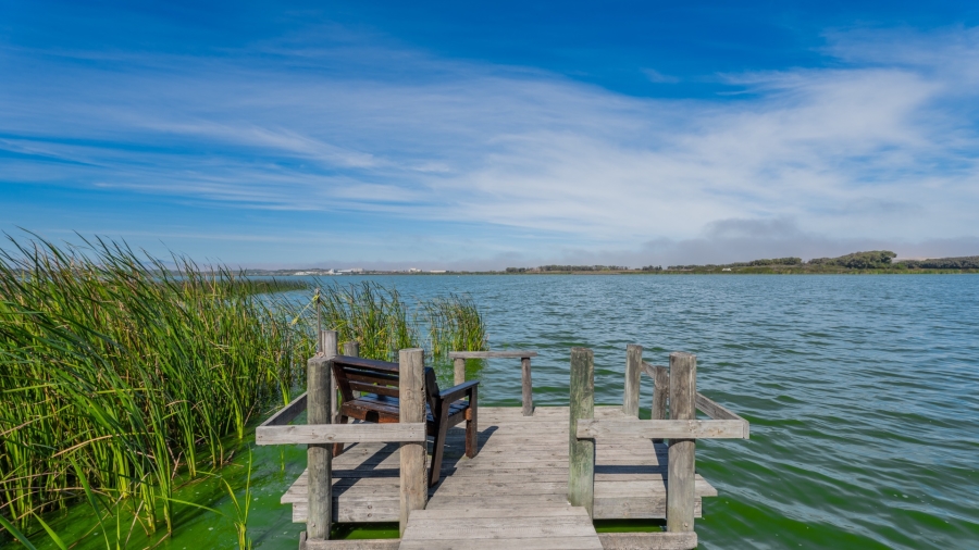 5 Bedroom Property for Sale in Zeekoevlei Western Cape